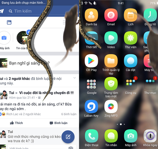 Rắn bò trên khắp màn hình khi đang dùng Facebook?