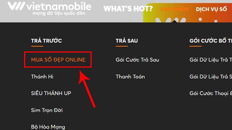 Đầu số 0928 là mạng gì? Ý nghĩa của đầu số 0928? Có phải số may mắn?