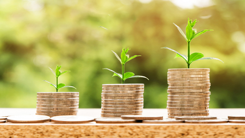 Đầu số 0862 là mạng gì? Ý nghĩa của đầu số 0862? Có phải số phát lộc?