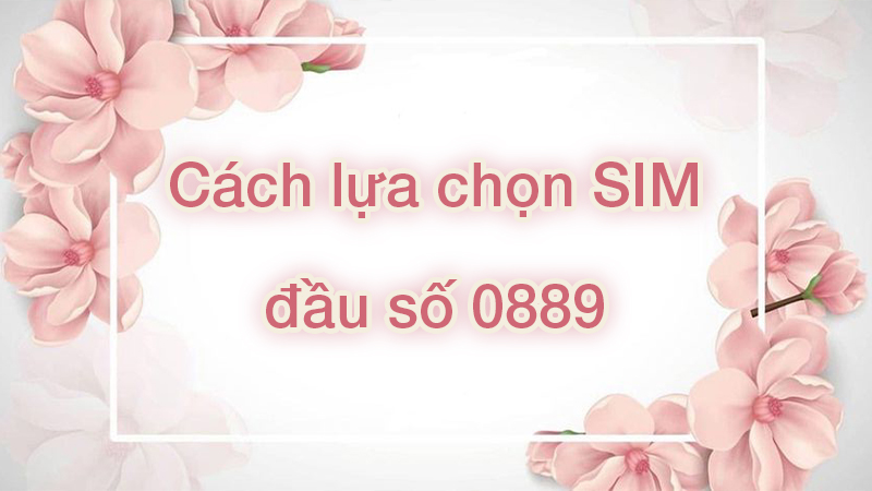 Đầu số 0889 là mạng gì? Ý nghĩa của đầu số 0889? Có phải đầu số đẹp?