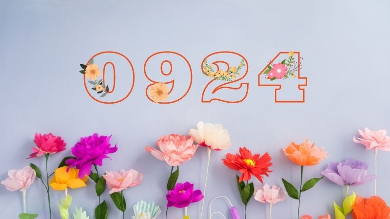 Đầu số 0924 là mạng gì? Ý nghĩa của đầu số 0924? Có phải đầu số đẹp?