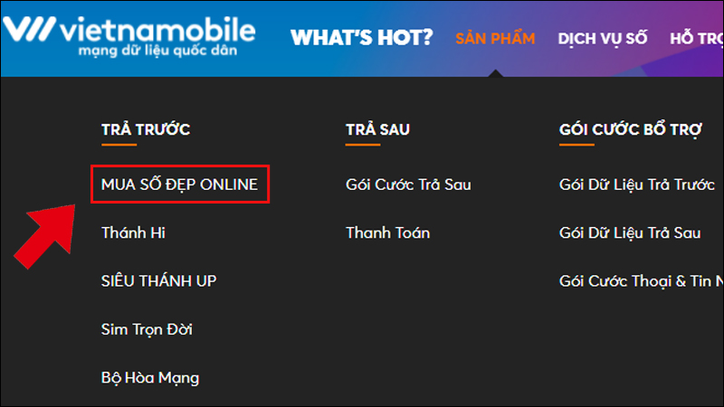 Đầu số 0924 là mạng gì? Ý nghĩa của đầu số 0924? Có phải đầu số đẹp?