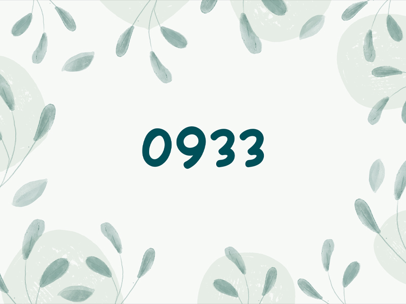 Đầu số 0933 là mạng gì? Ý nghĩa của đầu số 0933? Có phải số may mắn?