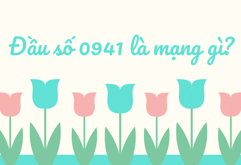 Đầu số 0941 là mạng gì? Ý nghĩa của đầu số 0941? Có phải đầu số đẹp?