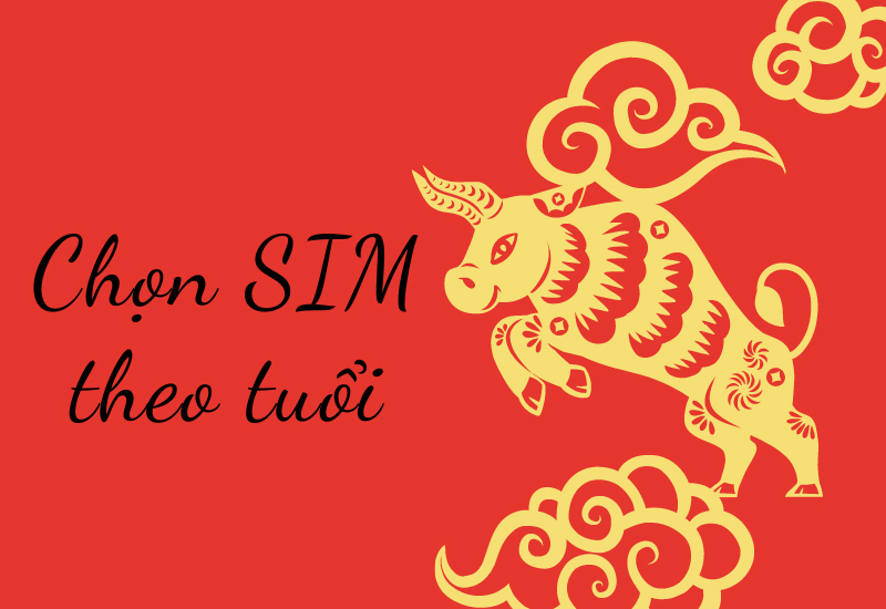 Đầu số 0941 là mạng gì? Ý nghĩa của đầu số 0941? Có phải đầu số đẹp?