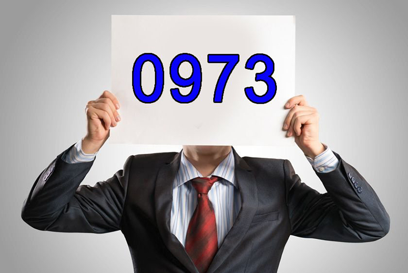 Đầu số 0973 là mạng gì? Ý nghĩa của đầu số 0973? Có phải là số đẹp?